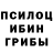 Псилоцибиновые грибы прущие грибы @OlegDm87