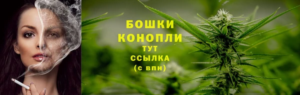 герыч Мегион