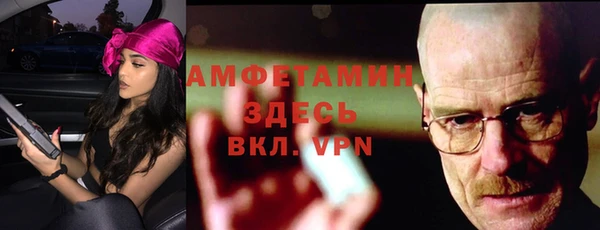 прущие грибы Медвежьегорск
