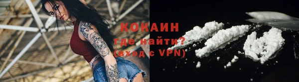 прущие грибы Медвежьегорск