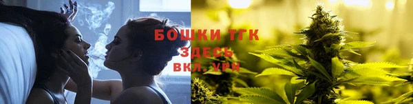 прущие грибы Медвежьегорск