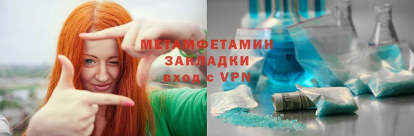 прущие грибы Медвежьегорск