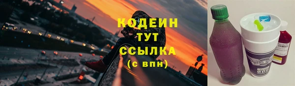 герыч Мегион