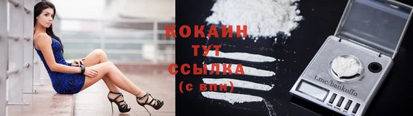 герыч Мегион