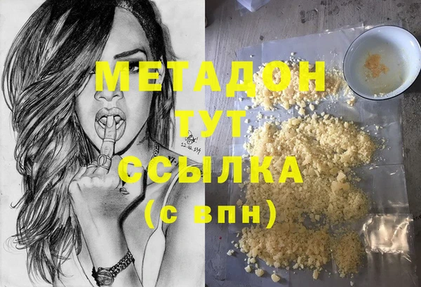 прущие грибы Медвежьегорск
