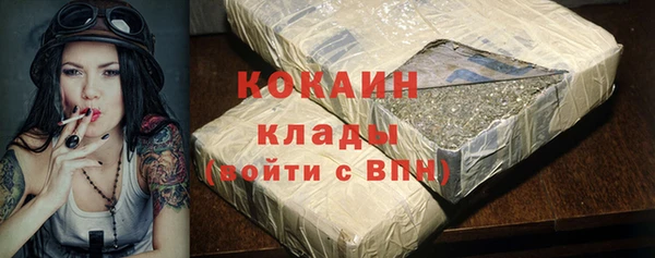 прущие грибы Медвежьегорск